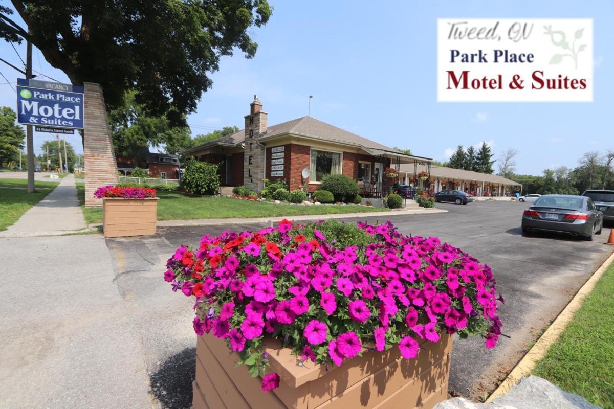 Park Place Motel & Suites Tweed エクステリア 写真